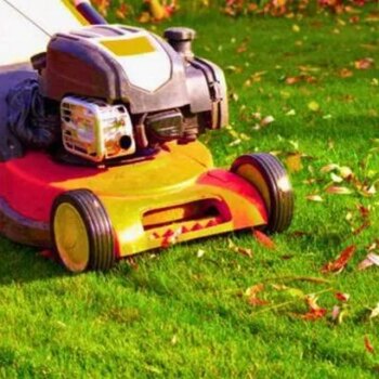 Gardener's simple trick to turn yellow grass green again in time for winter