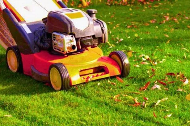 Gardener's simple trick to turn yellow grass green again in time for winter