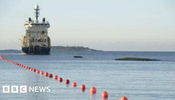 Germany suspects sabotage behind severed undersea cables