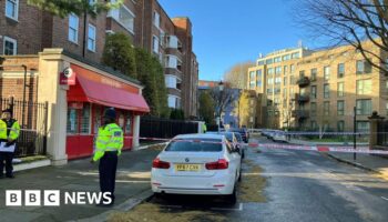 Girl, 8, seriously injured in London shooting