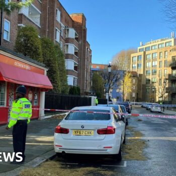 Girl, 8, seriously injured in London shooting