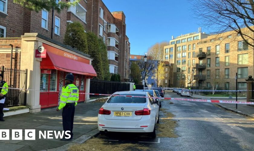 Girl, 8, seriously injured in London shooting