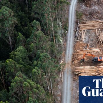 Greens drop climate trigger demand in attempt to restart Nature Positive talks with Labor