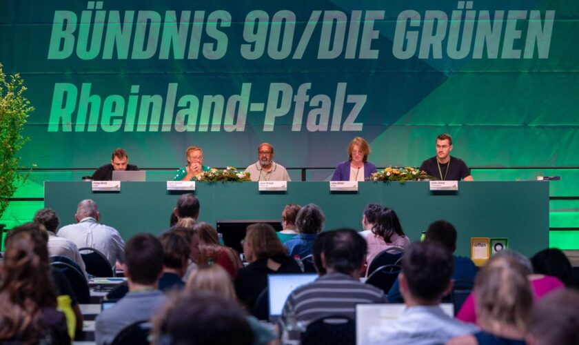 Julian Joswig will auf Platz zwei der Landesliste für den Bundestag kandidieren. (Archivbild) Foto: Harald Tittel/dpa