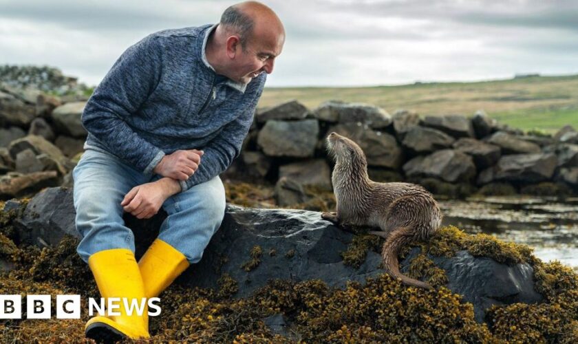 How Billy met Molly - the orphaned otter who is now part of the family