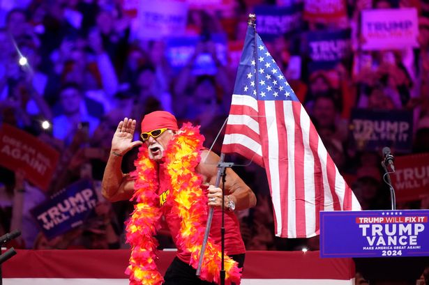 How 'not a Nazi' Donald Trump ran the most insane election campaign in US history