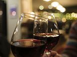 How wine jargon leaves Brits in terroir: More than 50% of wine lovers are baffled by its terminology while a third are left embarrassed when asked to describe a type