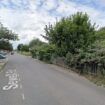 'Human remains and bones' found near bushes in London as cops launch probe