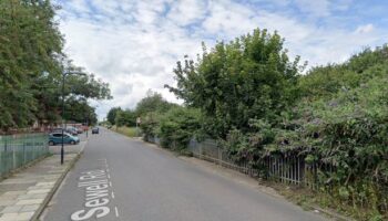 'Human remains and bones' found near bushes in London as cops launch probe