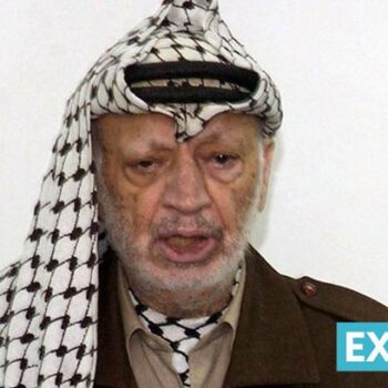 'I miss my uncle Yasser Arafat - he could have stopped the bloodshed in Gaza'