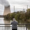 IAEA chief says German return to nuclear power is 'logical'