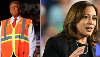 Kamala Harris taunts Donald Trump at US election rally as crowd chants 'lock him up'