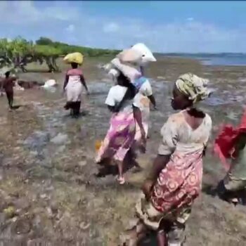 Kenya : l'algoculture pour vivre de la mer, face aux sécheresses récurrentes