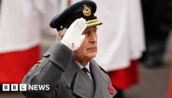 King to lead Remembrance ceremony at the Cenotaph