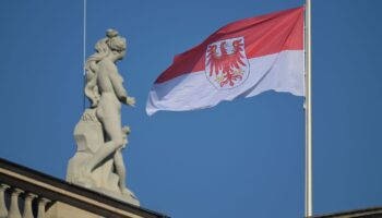 SPD und BSW zeigen sich zuversichtlich bei ihren Koalitionsverhandlungen in Brandenburg (Symbolbild). Foto: Michael Bahlo/dpa