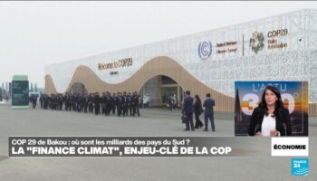 La finance climat, enjeu-clé des négociations à la COP29 de Bakou