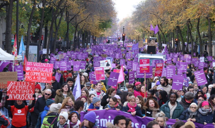 « La honte doit changer de camp » : des milliers de personnes dans la rue contre les violences sexistes