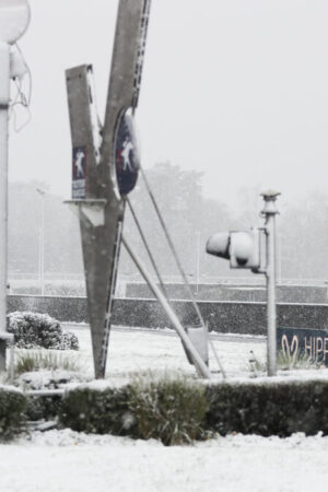 La neige a eu raison des courses hippiques