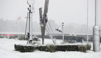 La neige a eu raison des courses hippiques