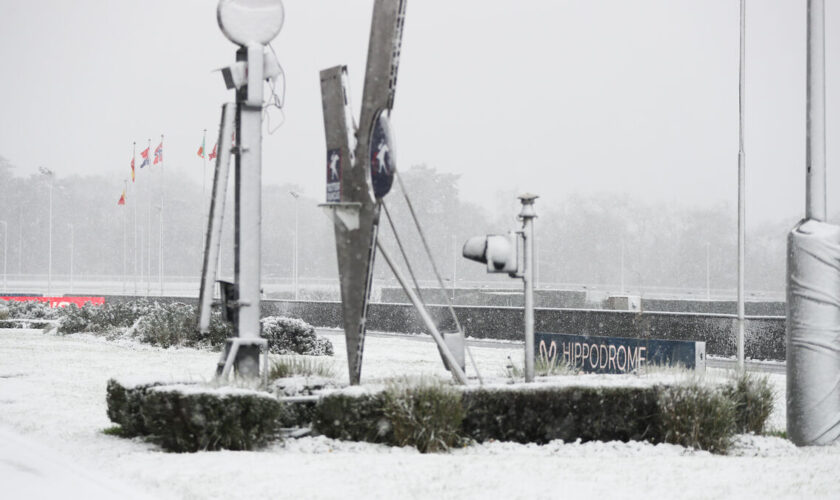 La neige a eu raison des courses hippiques