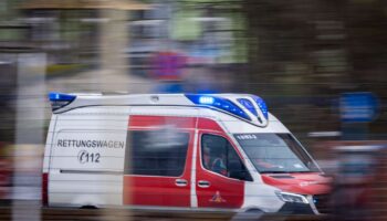 Die Verletzten wurden den Angaben zufolge per Rettungswagen in Krankenhäuser gebracht. (Symbolbild) Foto: Jens Büttner/dpa