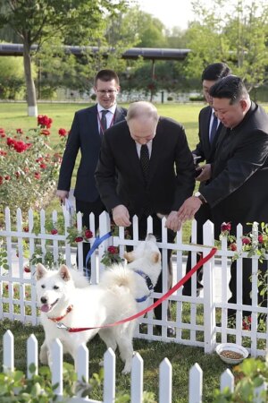 Leones africanos, limusinas y caballos por soldados norcoreanos: los intercambios entre Putin y Kim Jong-un