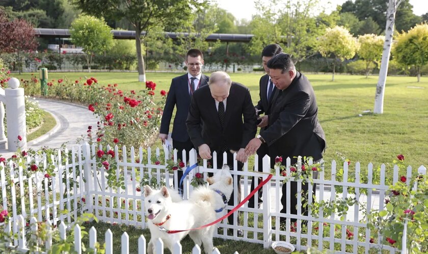 Leones africanos, limusinas y caballos por soldados norcoreanos: los intercambios entre Putin y Kim Jong-un