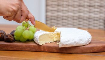 Les fromages tels que le camembert et le brie sont-ils voués à disparaître?