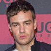 Liam Payne report uncovers devastating detail on star's 'desperate escape plot'