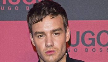 Liam Payne report uncovers devastating detail on star's 'desperate escape plot'