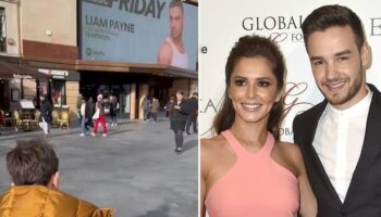 Liam Payne's son Bear - heartbreaking unseen photo and Geordie accent as Cheryl raises him solo