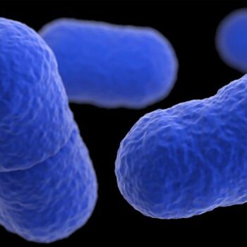 Listeria outbreak horror as boy, 10, dead and at least 10 sick from 'contaminated meat'