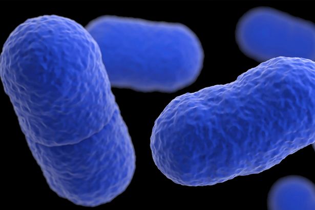 Listeria outbreak horror as boy, 10, dead and at least 10 sick from 'contaminated meat'