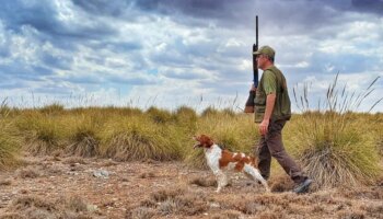 Madrid tendrá su primera ley de caza y pesca, actualizará las sanciones y prohibirá cazar a menos de 150 metros de caminos y carreteras