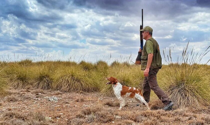 Madrid tendrá su primera ley de caza y pesca, actualizará las sanciones y prohibirá cazar a menos de 150 metros de caminos y carreteras