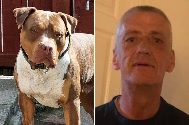 Man pleads guilty after brutal XL Bully attack where 'Titan' dog mauled neighbour to death