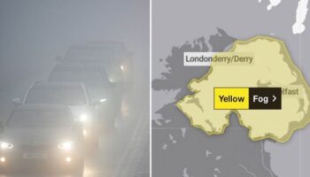 Met Office warns thick fog could linger all day as temperatures plunge to 1C