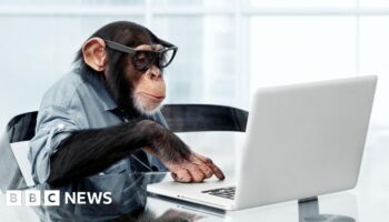 Monkeys will never type Shakespeare, study finds