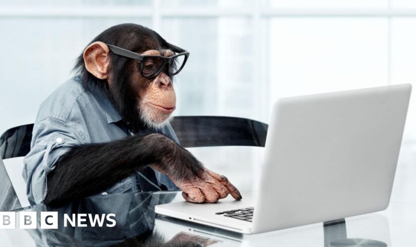 Monkeys will never type Shakespeare, study finds