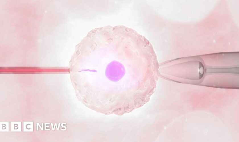 More single women and female couples having IVF