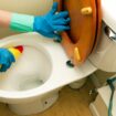 Mrs Hinch fans amazed by 'hidden' toilet seat button that makes cleaning easy