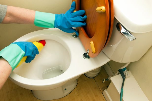 Mrs Hinch fans amazed by 'hidden' toilet seat button that makes cleaning easy