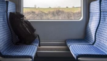 München: Mann stellt sich auf Gleise und zwingt S-Bahn zum Bremsen