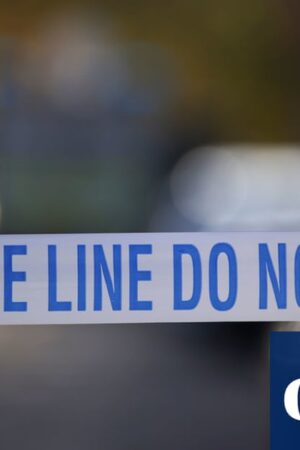 Murder investigation launched after body found in car boot in east London