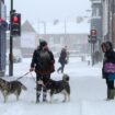 New UK snow map shows seven English counties that will be spared this week