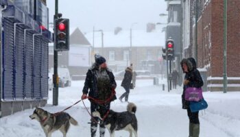 New UK snow map shows seven English counties that will be spared this week