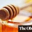 Nine in ten honey samples from UK retailers fail authenticity test