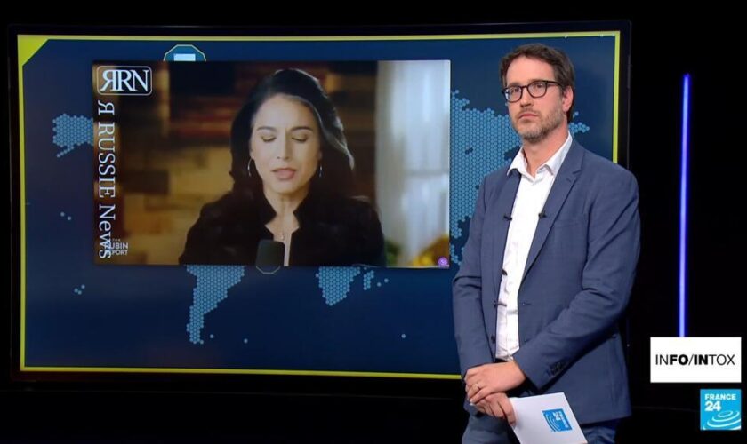 Non, Volodymyr Zelensky n’est pas un dictateur comme l'affirme Tulsi Gabbard