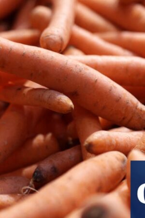 One dead and dozens infected in E coli outbreak linked to organic carrots in US