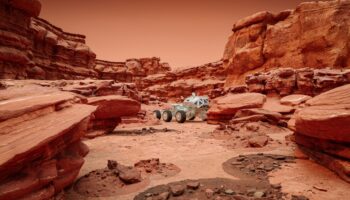 Oups, la NASA pourrait avoir tué des formes de vie sur Mars par inadvertance